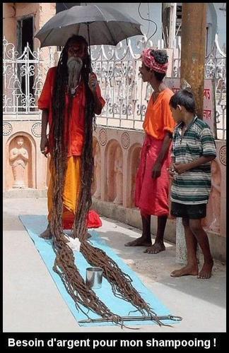 rasta